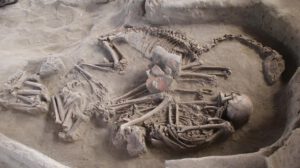 Domesticación temprana de llamas en el yacimiento de El Olivar