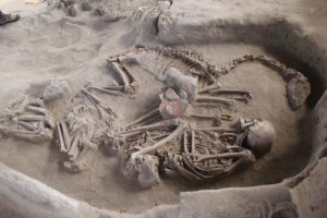 Domesticación temprana de llamas en el yacimiento de El Olivar