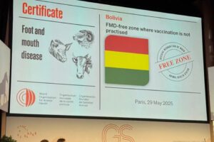 Bolivia libre de fiebre aftosa sin vacunación