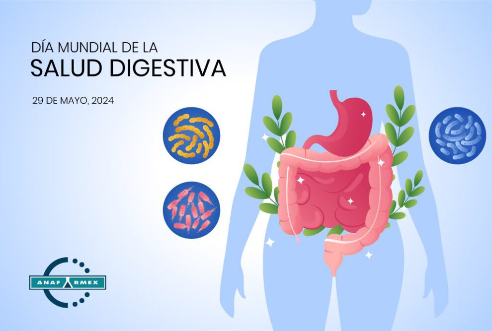 Salud Digestiva y bienestar intestinal