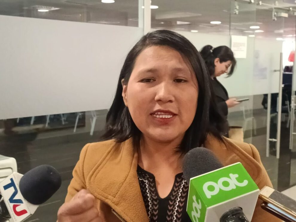 Crisis económica en Bolivia según diputada Elena Pachacute