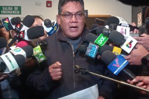 Héctor Arce critica sentencias constitucionales que limitan la reelección