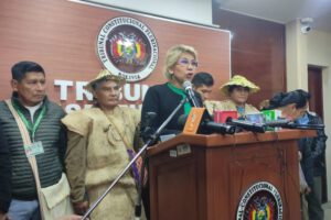 Desocupación de tierras comunitarias por el Tribunal Constitucional