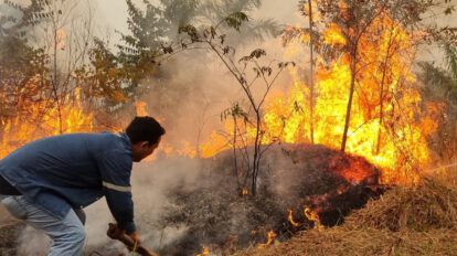 Incendios forestales en Bolivia y medidas urgentes solicitadas por la senadora Egüez