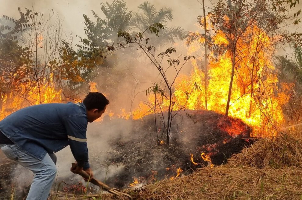 Incendios forestales en Bolivia y medidas urgentes solicitadas por la senadora Egüez