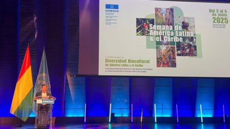 Madre Tierra como sujeto de derechos en el llamado de David Choquehuanca