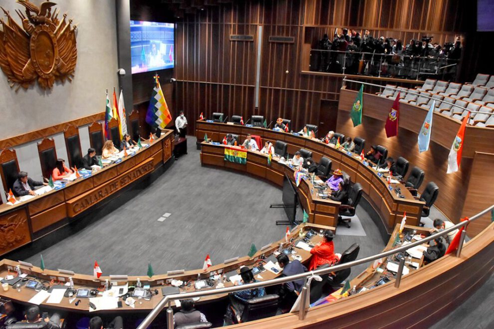 Ley del TREP en la Cámara de Senadores