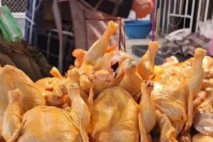 Incremento del precio del pollo en Cochabamba por bloqueos en rutas