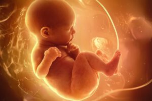 Día Mundial de la Fertilidad y su impacto en la salud reproductiva