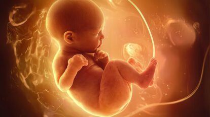 Día Mundial de la Fertilidad y su impacto en la salud reproductiva