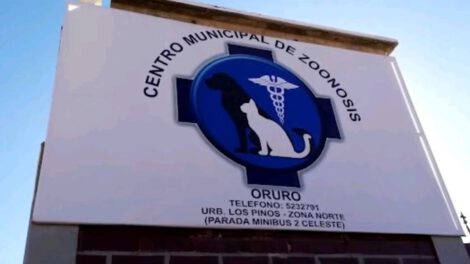 Cárcel exdirector Zoonosis Oruro