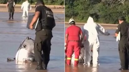 Investigación del asesinato de un hombre venezolano