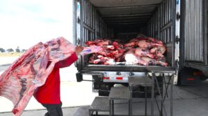 Arribo de alimentos vía aérea supervisado por Luis Arce