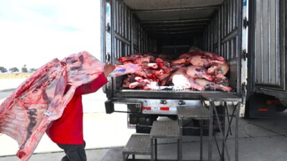 Arribo de alimentos vía aérea supervisado por Luis Arce