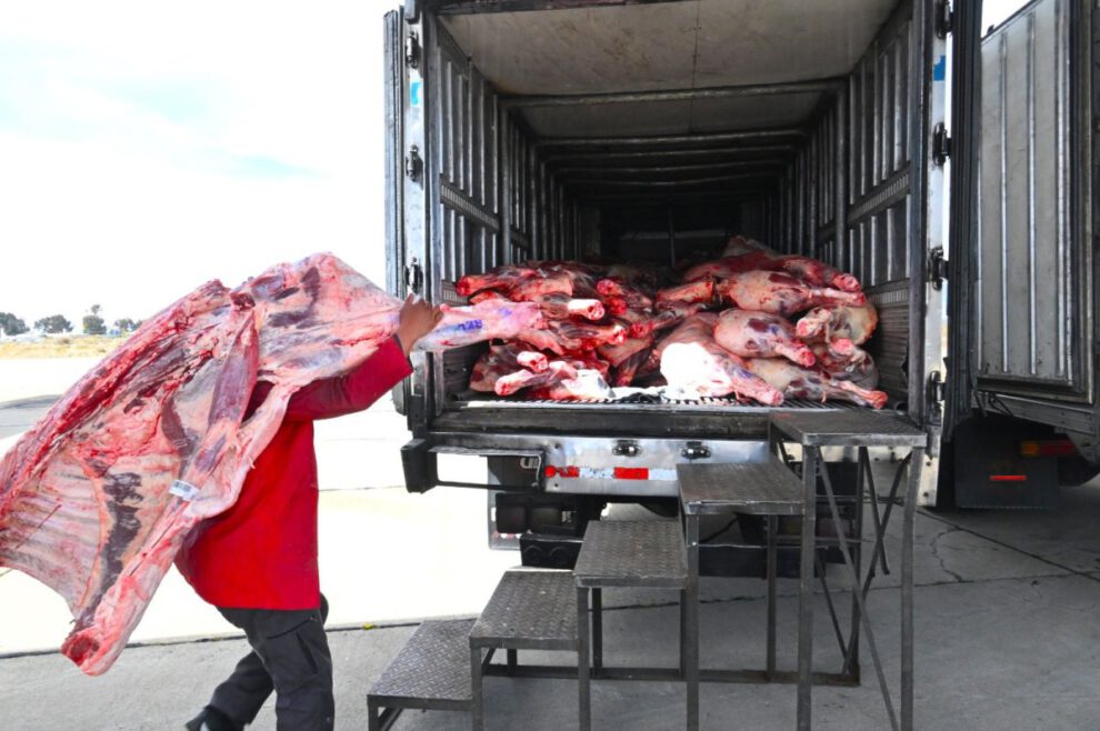 Arribo de alimentos vía aérea supervisado por Luis Arce