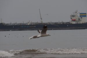 Descarga de gasolina en Arica