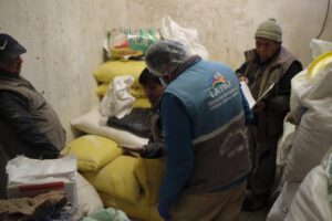 Cereales contaminados con heces de ratón en La Paz