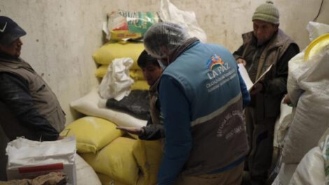 Cereales contaminados con heces de ratón en La Paz