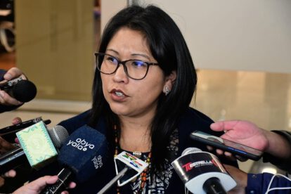 Infiltración en manifestaciones según Gladys Quispe