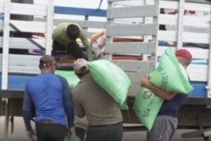 Estafa agravada arroz Santa Cruz