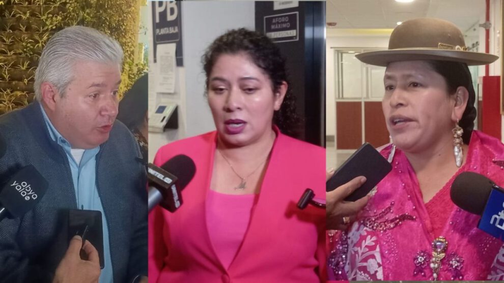 Cumbre del TSE y elecciones generales en Bolivia