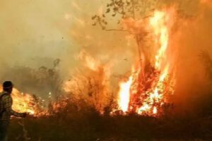 Incendios forestales en Bolivia
