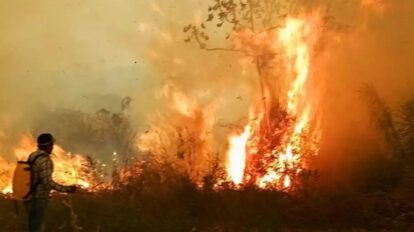 Incendios forestales en Bolivia