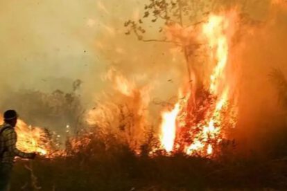 Incendios forestales en Bolivia