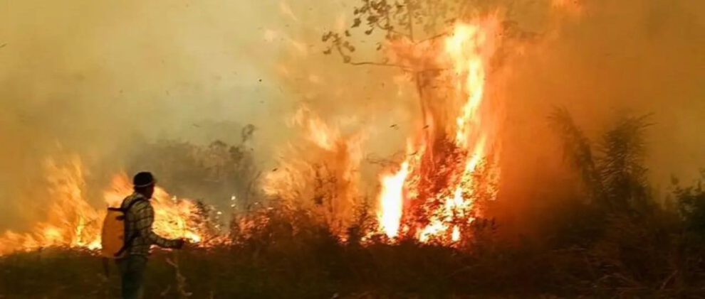 Incendios forestales en Bolivia