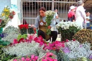 Bloqueo de caminos en Cochabamba afecta a floricultores