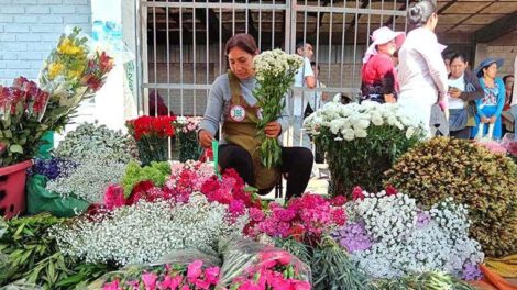 Bloqueo de caminos en Cochabamba afecta a floricultores