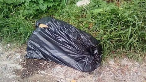 Desmembramiento de mujer en La Paz