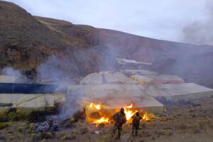 Desmantelan viveros de marihuana en Lagunillas