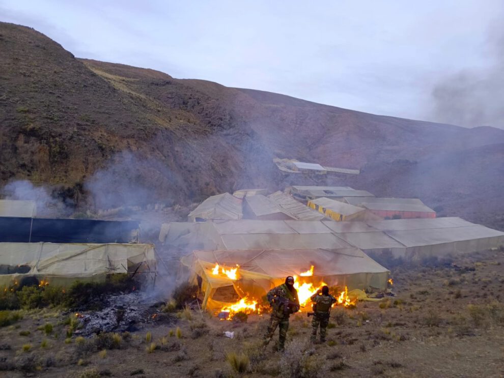 Desmantelan viveros de marihuana en Lagunillas