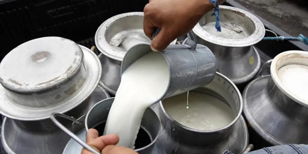 Productores venden leche del productor al consumidor