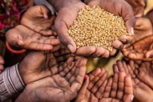 Riesgo de hambruna en Bolivia según informe de la ONU