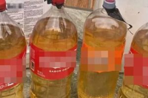 venta ilegal de diésel y gasolina en Bolivia