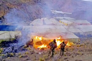 Incineración de viveros de marihuana en Potosí