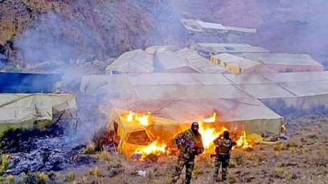 Incineración de viveros de marihuana en Potosí