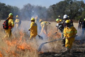 Capacitación para Instructores Militares de Bomberos Forestales en Puerto Quijarro
