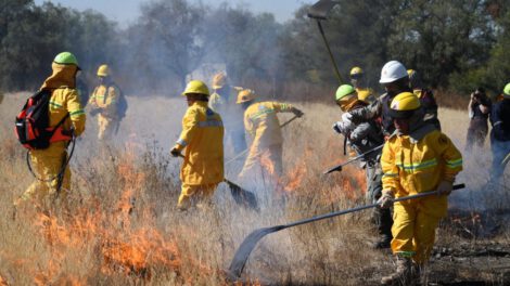 Capacitación para Instructores Militares de Bomberos Forestales en Puerto Quijarro