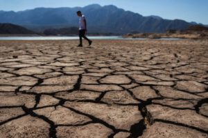 Día Mundial de Lucha contra la Desertificación y la Sequía