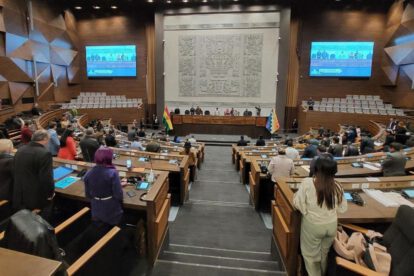 Créditos internacionales discutidos en la Cámara de Diputados