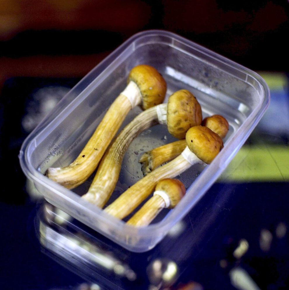 Psilocibina para tratar la depresión en Nueva Zelanda