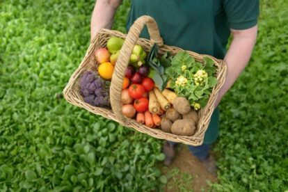 Día de la Gastronomía Sostenible
