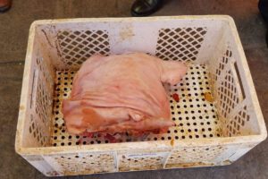 Retiran carne en mal estado en Oruro