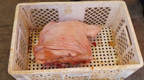 Retiran carne en mal estado en Oruro