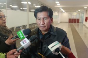 Créditos aprobados por Diputados según Félix Ajpi