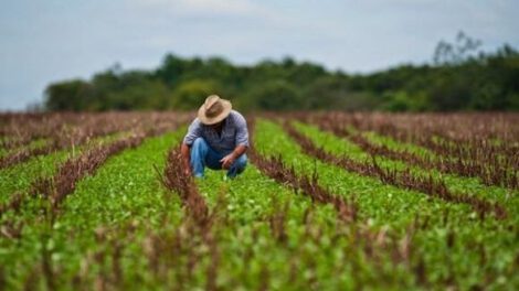Delitos que afectan producción agrícola