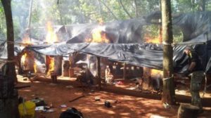 Decomisan 12 toneladas de marihuana en Paraguay